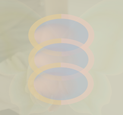 The Karmic Exploration